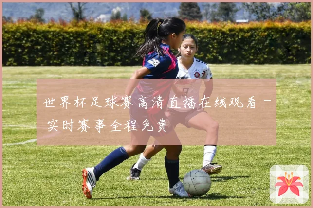 世界杯足球赛高清直播在线观看 - 实时赛事全程免费