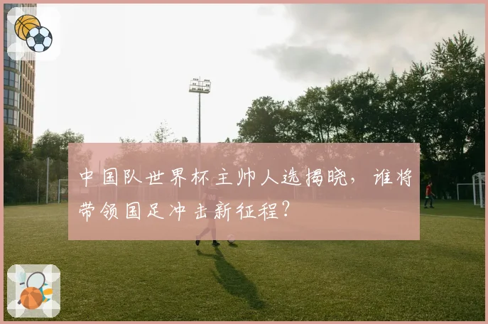 中国队世界杯主帅人选揭晓，谁将带领国足冲击新征程？