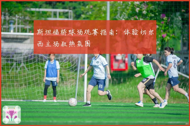 斯坦福桥球场观赛指南:体验切尔西主场狂热氛围